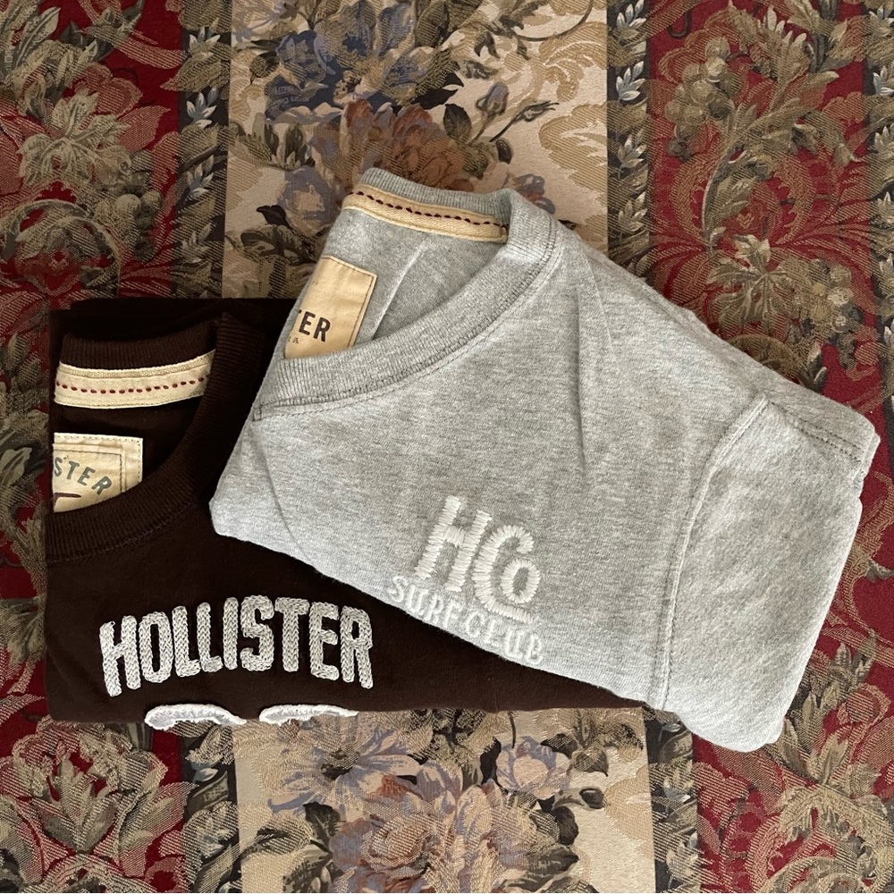 Hollister T-Shirts - Brown & Gray.  Mens:  XL.